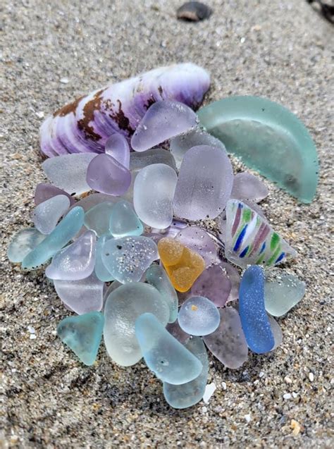 Collection Of Susan Blaisdell In 2022 Sea Glass Beach Beach Glass Succulents