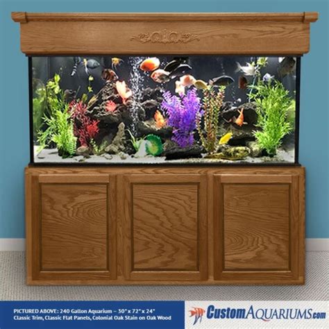 240 Gallon Aquarium Custom Glass Fish Tank Custom Aquariums