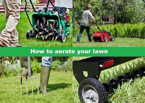 How To Aerate Your Lawn Best 3 Methods Of Aerating The Lawn
