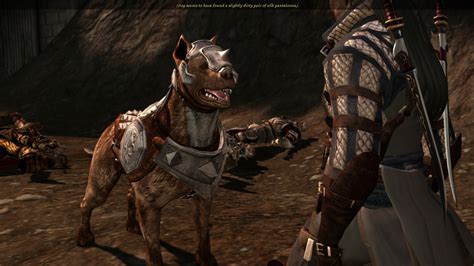 Armored Mabari At Dragon Age Origins Mods And Community