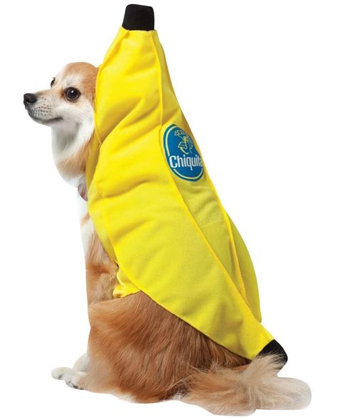 Chiquita Banana Pet Costume Dog Costumes Funny Large Dog Costumes