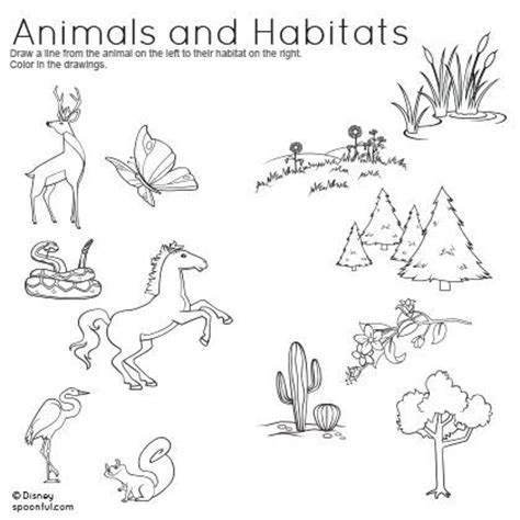 Interactive habitat pictorial input coloring sheets for budding scientists. Animals and Habitats Matching Worksheet | Science ...
