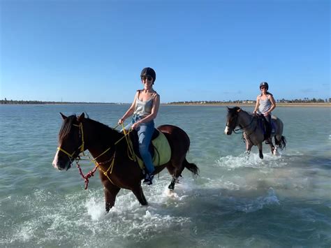 Horseback Riding Experience In Djerba Lagoon Saharansky