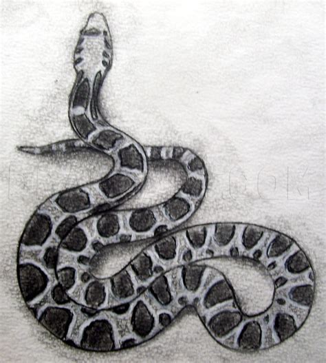 How To Draw A Realistic Snake Draw Real Snake Step By Step Drawing