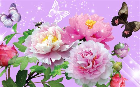 Bright Floral Background Free Download Pixelstalknet