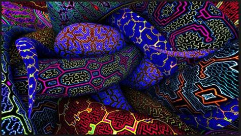 Another common ingredient in ayahuasca is the shrub psychotria viridis which contains the primary psychoactive, dimethyltryptamine (dmt). Madre Ayahuasca » Las nueve musas