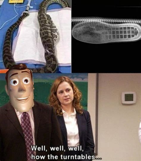 Theres A Boot In My Snake Rmeme