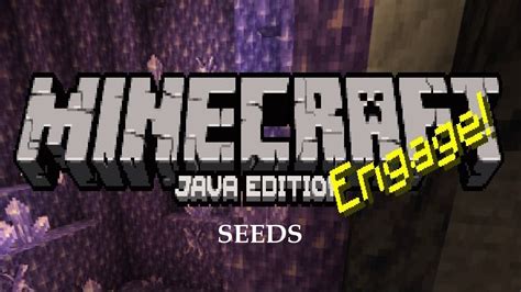 Top Minecraft Village Seeds In Minecraft Java Edition