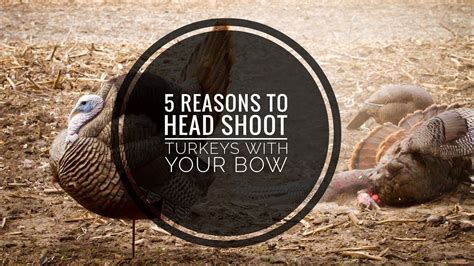 Hit list bucks and treestand placement. 5 Reasons You Should Be Head Shooting When Bow Hunting ...