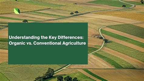 Organic Vs Conventional Farming Unveiling The Key Differences