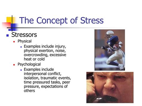 Ppt Chapter 14 Stress And Stressors Powerpoint Presentation Free