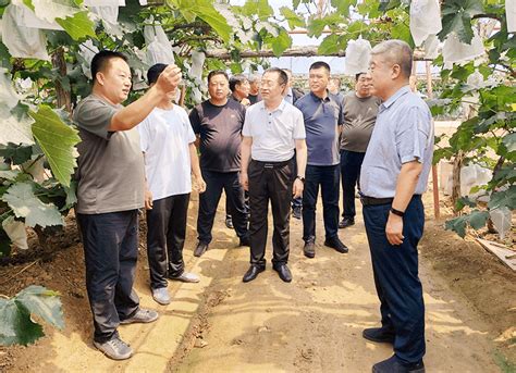 市人大农委调研我市农村 一二三产业融合发展情况企业加工生产