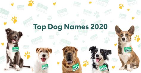 The Most Popular Male And Female Dog Names Of 2020