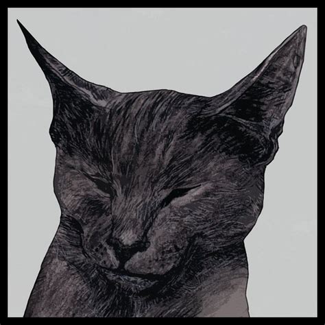 Serge Baeken Black Cat Art Black Cats Crazy Cat Lady Crazy Cats Cat