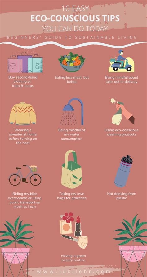 Beginners Guide To Sustainable Living 10 Easy Eco Conscious Tips You