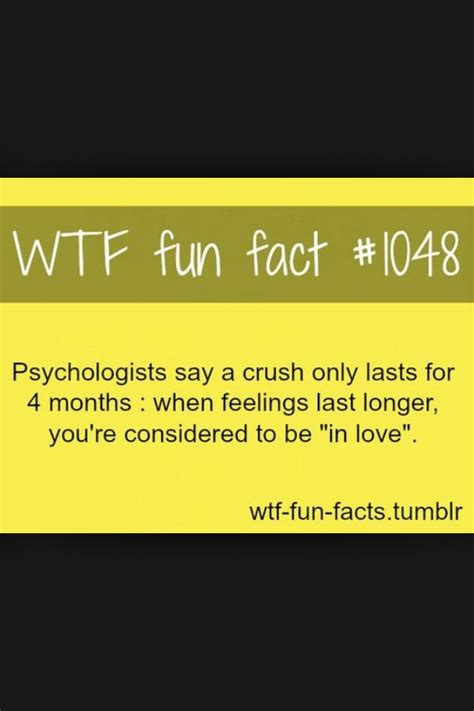 wtf fun facts musely