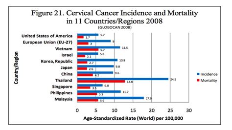 Learn about cervical cancer and treatment options from international medical treatment. Cervical cancer: The challenge of prevention
