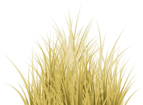 Download Hd Dry Grass Png Hd Transparent Png Image