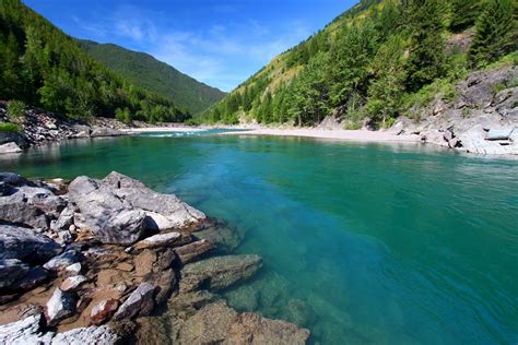 Flathead National Forest