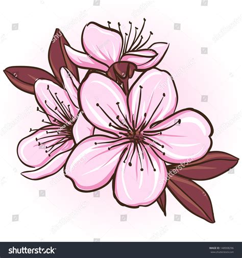 Cherry Blossom Decorative Floral Illustration Sakura Illustrazione
