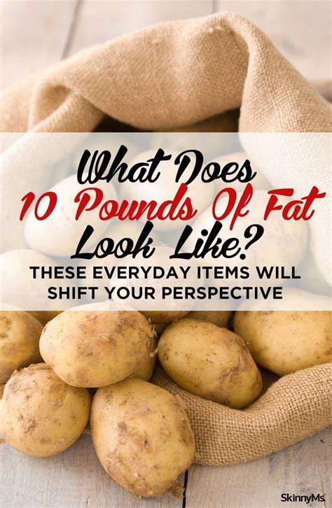 How To Lose Ten Pounds Of Fat Keitogladwellyoripagesdev