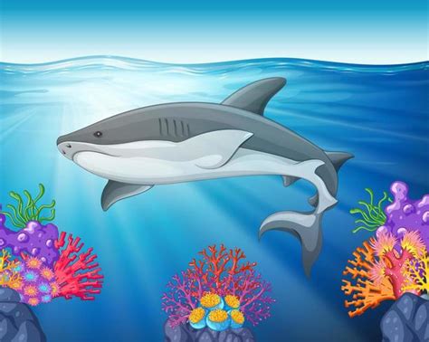 Shark swimming in the sea - Download Free Vectors, Clipart ...
