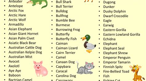 Animals Names List From A To Z English Grammar Here