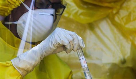 Latest public health information from cdc. La Roche ha messo a punto un test sierologico anti Covid ...