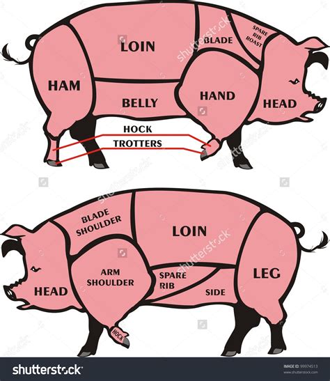 Cool How To Butcher A Pig Diagram Ideas Bigmantova