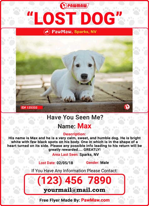 Create A Free High Quality Lost Pet Flyer To Post Around Your Neighborhood