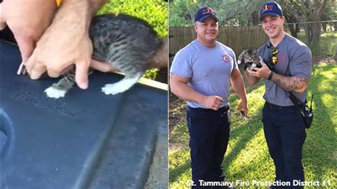 Video Firefighters Rescue Kitten With Head Stuck In Basketball Hoop