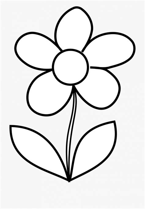 Black And White Coloring Pages Printable Easy Flower Adonisroparroyo