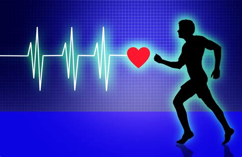 What Is The Best Type Of Cardio Hiit Or Liss The Cardio Debate Lep