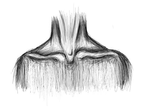 neck and collar bone practice by Dannikins on DeviantArt