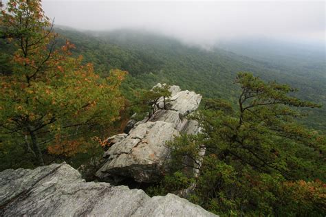 10 Of The Best Hiking Trails In Alabama Flavorverse