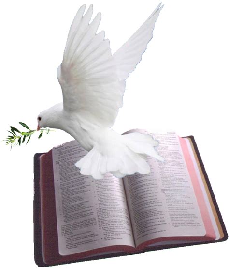 Download Holy Spirit Dove Png Bible With Dove Png Hd Transparent