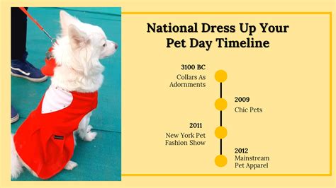 Buy Now National Dress Up Your Pet Day Powerpoint Template