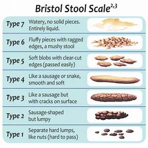 Bristol Stool Chart Bschart Twitter
