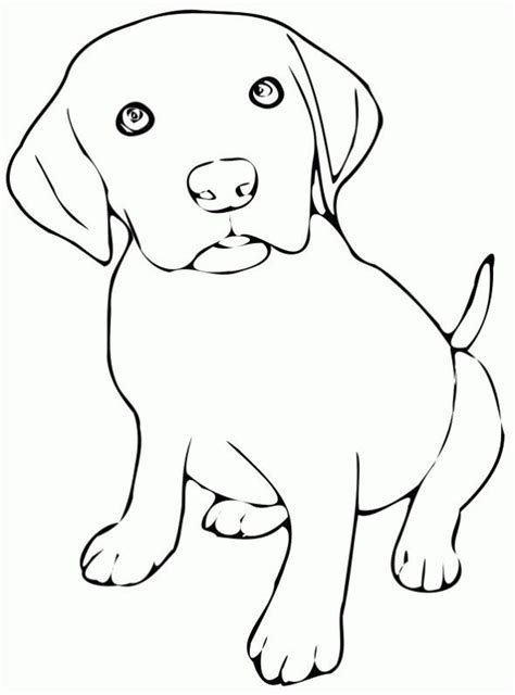10 Qualité Coloriage Labrador Photos en 2020 (avec images) | Chien