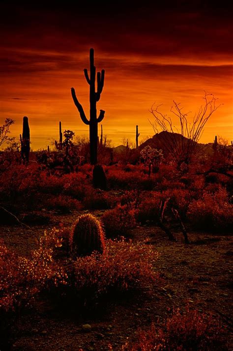 A Red Desert Desert Photography Landscape Photography