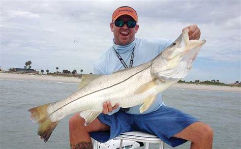 Snook Time In Florida Coastal Angler And The Angler Magazine