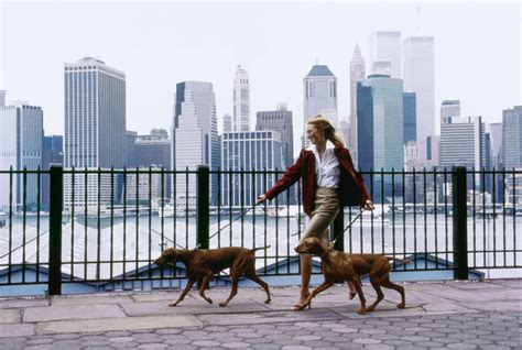 A Dog Lovers Guide To New York Vogue
