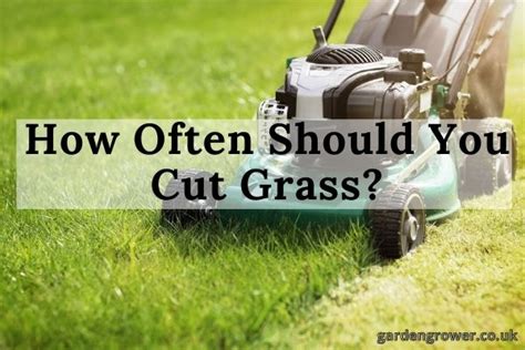 How Often Should You Cut Grass?