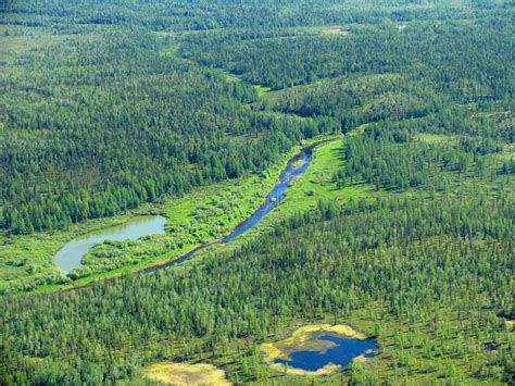 Siberian Taiga Aerial View Stock Photo Image Of Aerial Russia 319166