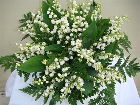 Faites livrer un joli bouquet de muguet le 1er mai à vos proches. Joyeux 1er Mai - Chartres Horizon