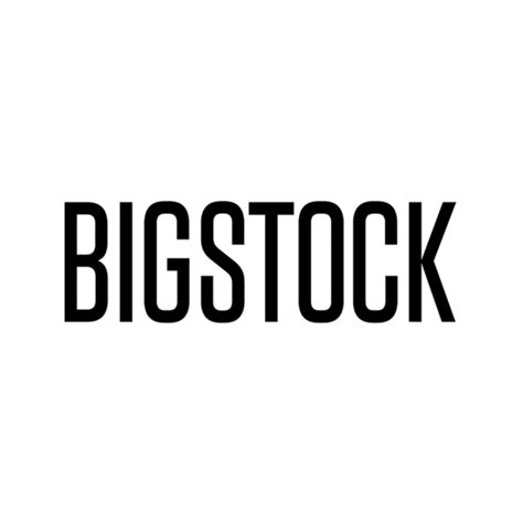Bigstock Review Stock Photo Secrets