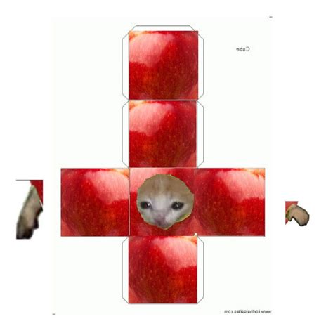 Gato Manzana Meme Cubo En 2023 Animales Para Imprimir Plantillas De