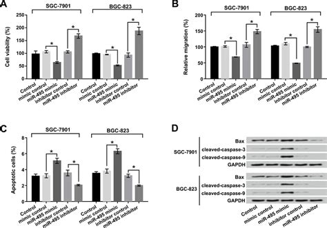 mir 495 inhibited cell viability and migration and promoted apoptosis download scientific