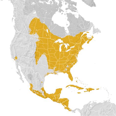 Ovenbird Range Map Post Breeding Migration Ebird Status And Trends