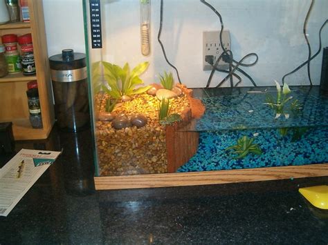 Cool Cheap Turtle Tank Ideas Setup Guide And Affordable Habitats